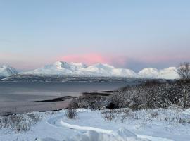 Above The Arctic circle、Olderdalenのホテル