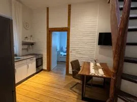 Altbauwohnung mit Dachterrasse in der Innenstadt Speyer