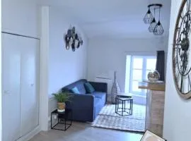 Charmant F2 centre Issoire avec jolie Vue Sancy et Livradois- WiFi