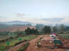 ไร่บริสุทธิ์