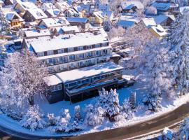 Alpina Löwen Hotel, hotel v destinaci Sankt Märgen