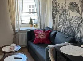 Apartament Centro 9