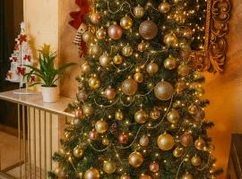 MB Place Abano Terme