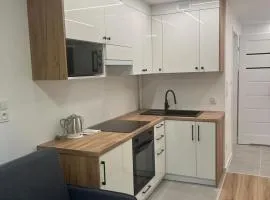 Apartament Sadowa