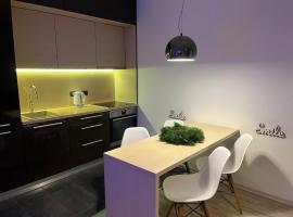 Near Station Apartment, Hotel in Vilnius