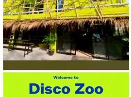 DISCO ZOO Bar & Hostel