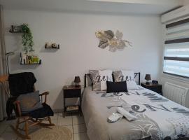 Meublé du centre, ξενοδοχείο σε Niederbronn-les-Bains