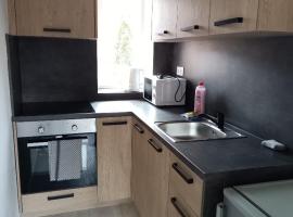 Apartmány MARTIN SARVAŠ 2, hotel in Tachov