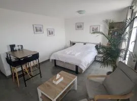 Grande chambre et salle de bain privée et balcon