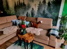 Leśna Przystań Rumia - obok Gdyni i Aquaparku Reda