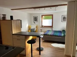 Schwarzwald-Nest Lenzkirch