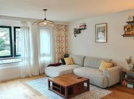 Private room and bathroom in Schlieren Zurich