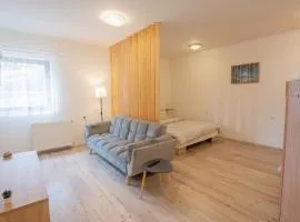 Studio apartman LuG
