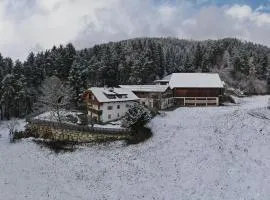 Gatscherhof - Nature, Cheese and Relax