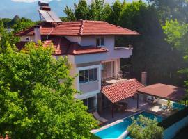 SığlaVilla，位于Koycegiz的酒店