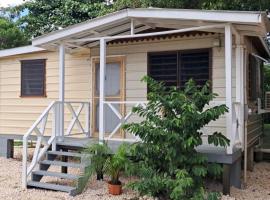 Delva's Villa - Cozy Home near Airport, hotel que aceita pets em Ladyville