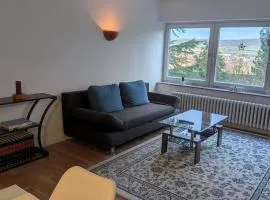 Panoramablick vom Rodenberg