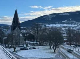 Unique penthouse - 1 min walk to the trainstation!