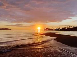 Emma's Homestay Explorer