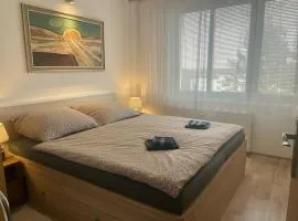 Cozy Apartment by the Forest