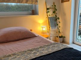 Art gallery near Pardubice, villa in Mateřov