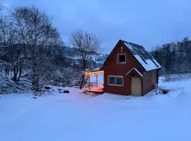 Domki na granicy - Kurów