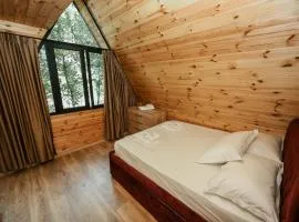 Villa's Gio Shala River