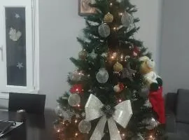 Voula home -IOANNINA-NEOKESARIA