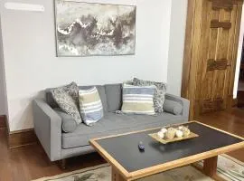 2 bedroom Loft apartment near downtown, Ohio city, Tremont!