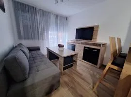 Apartman "Lea" - Ravna planina