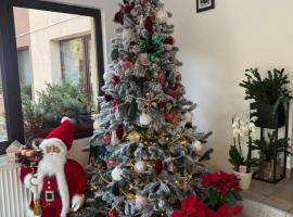 Pensiunea Zimbrul, hotel en Poiana Brasov