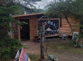 Rosa de los vientos Sur