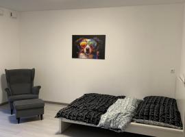 Privatunterkunft Neubau mit Garten Mainz Wiesbaden Frankfurt Airport, hotel v destinaci Bischofsheim