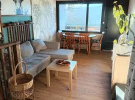 Duplex montagne vue exceptionnelle