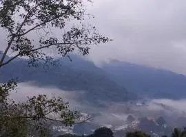 Camelliana Horizon Pongyang