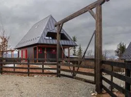 Casa Aproape de Stele din Beliș, Apuseni