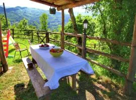 Rustic Holiday Home in Ortignano with Swimming Pool