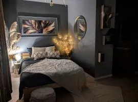 Duplex Le Glamour proche hyper centre