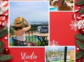 STUDIO POOL HOUSE 2 ETOILES VUE MER PANORAMIQUE AMAZING SEA VIEW WIFI LINGE LINEN INCLUS AIRCONDITIOn