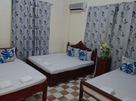 Besañes Homestay, hotel in Alaminos
