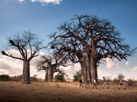 Nkula Camp - Pafuri Walking Safari's, hotel v destinaci Makuleke Contract Park