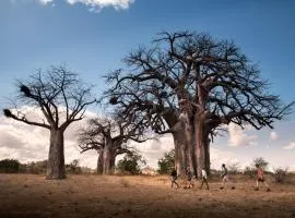 Nkula Walking Camp by RETURN Africa