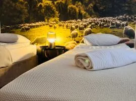 Pokoje nad Przełomem Dunajca - Wietrznice - Rivent Sport