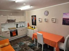 Ferienwohnung Nähe Flughafen mit Schwimmbad und Sauna