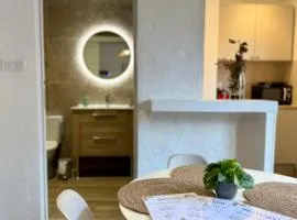 Studio au cœur de Lourdes