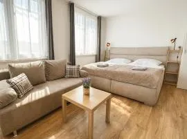 Smarty Choice Living with FREE PARKING - Vondroušova