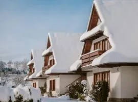 Apartamenty, pokoje PRZY TERMACH - 70 m Termy Szaflary, 150 m Gorący Potok