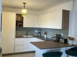 charment appartement a ajaccio