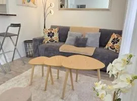 T2 du Sanctuaire 400 m de la grotte Lourdes wifi TV