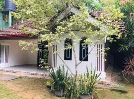 Madiha Dolamulla Gedara